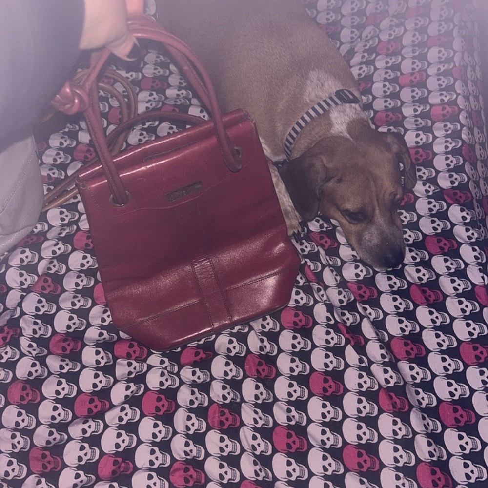 Etienne Aigner Saddle/ Satchel Bag